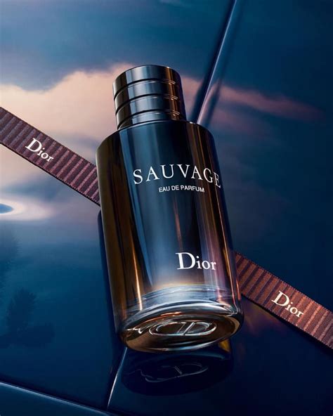 dior homme perfume|perfume dior homme sauvage.